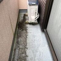 IMG_2231
