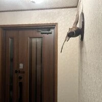 画像7151：高耐久遮熱塗料で外壁塗装｜富士見市 Y様邸
