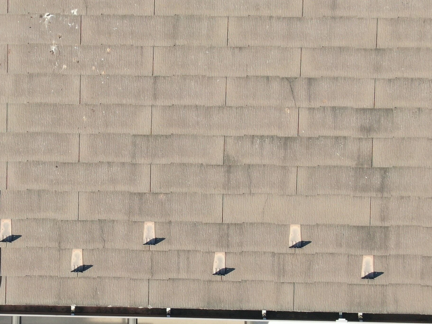 DJI_00891